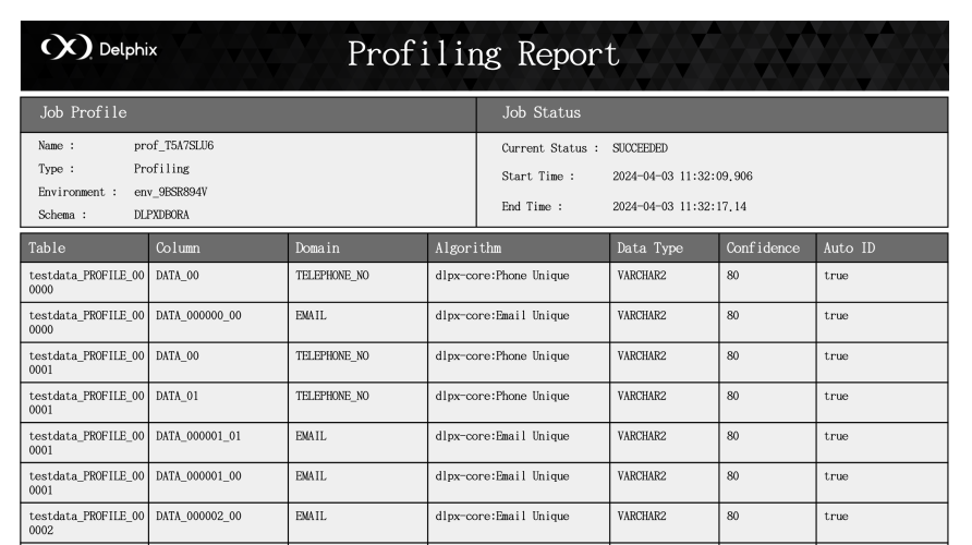 report profile report profile