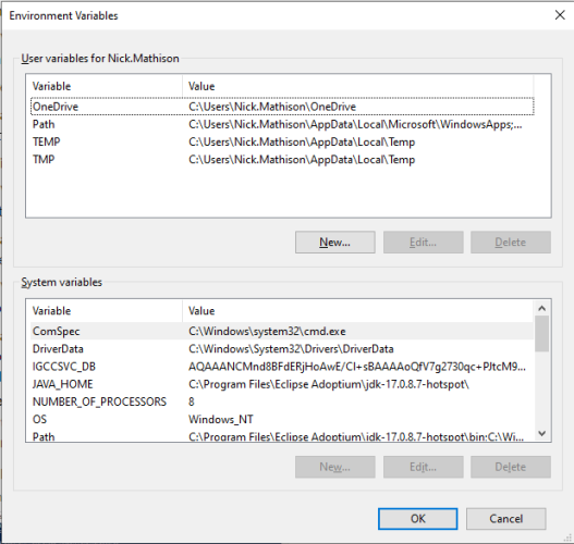 set up environment variables